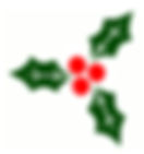 holly.jpg