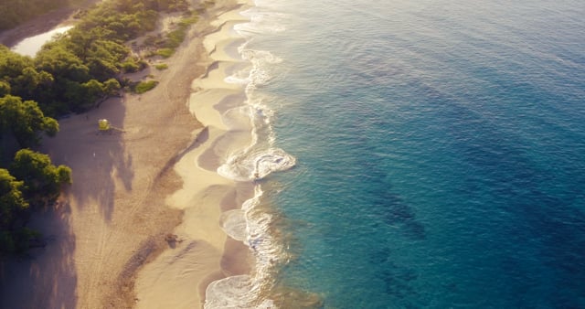 Add Images, Videos & Style Your Text